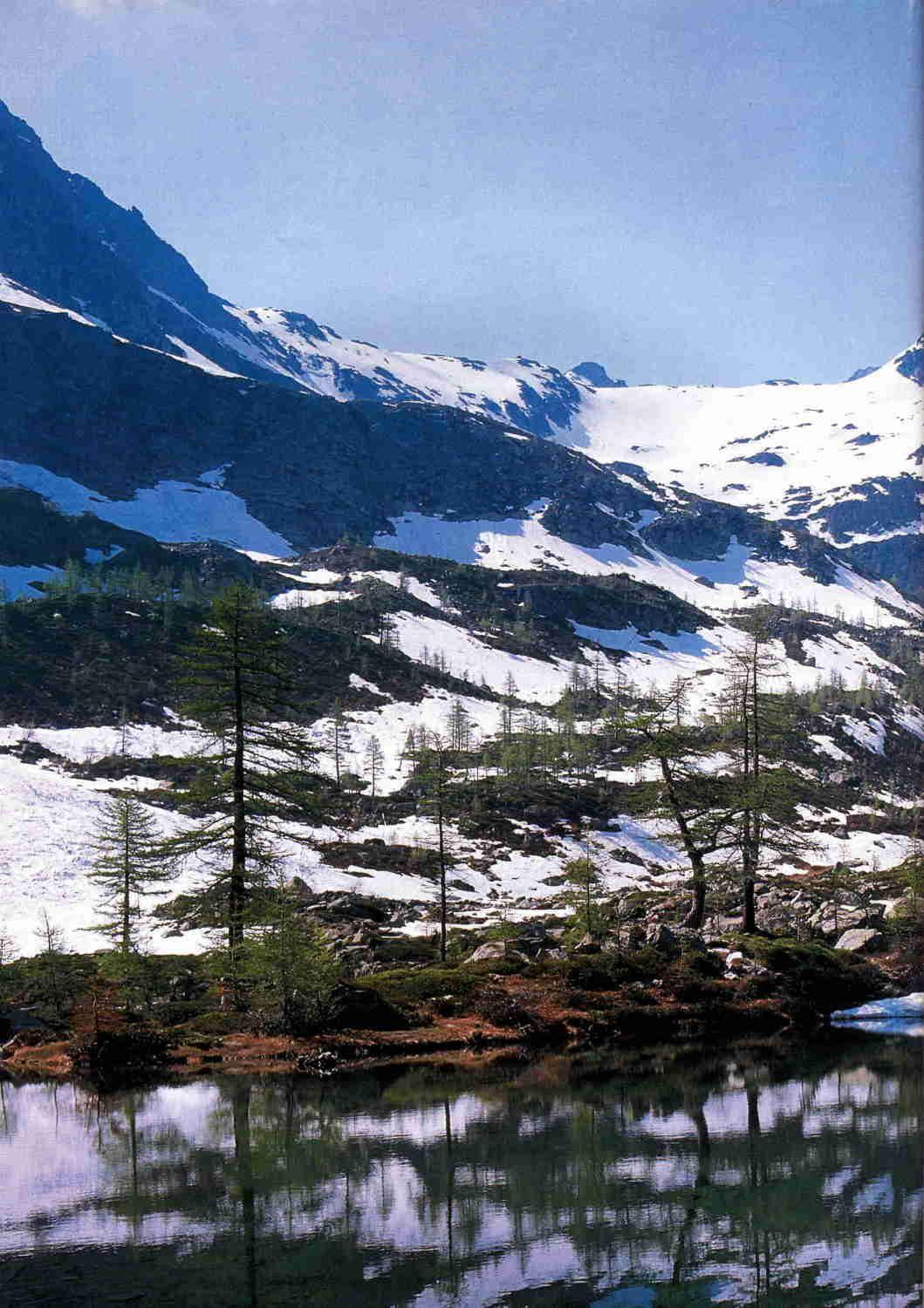 Hotel Tavernier Courmayeur Luaran gambar
