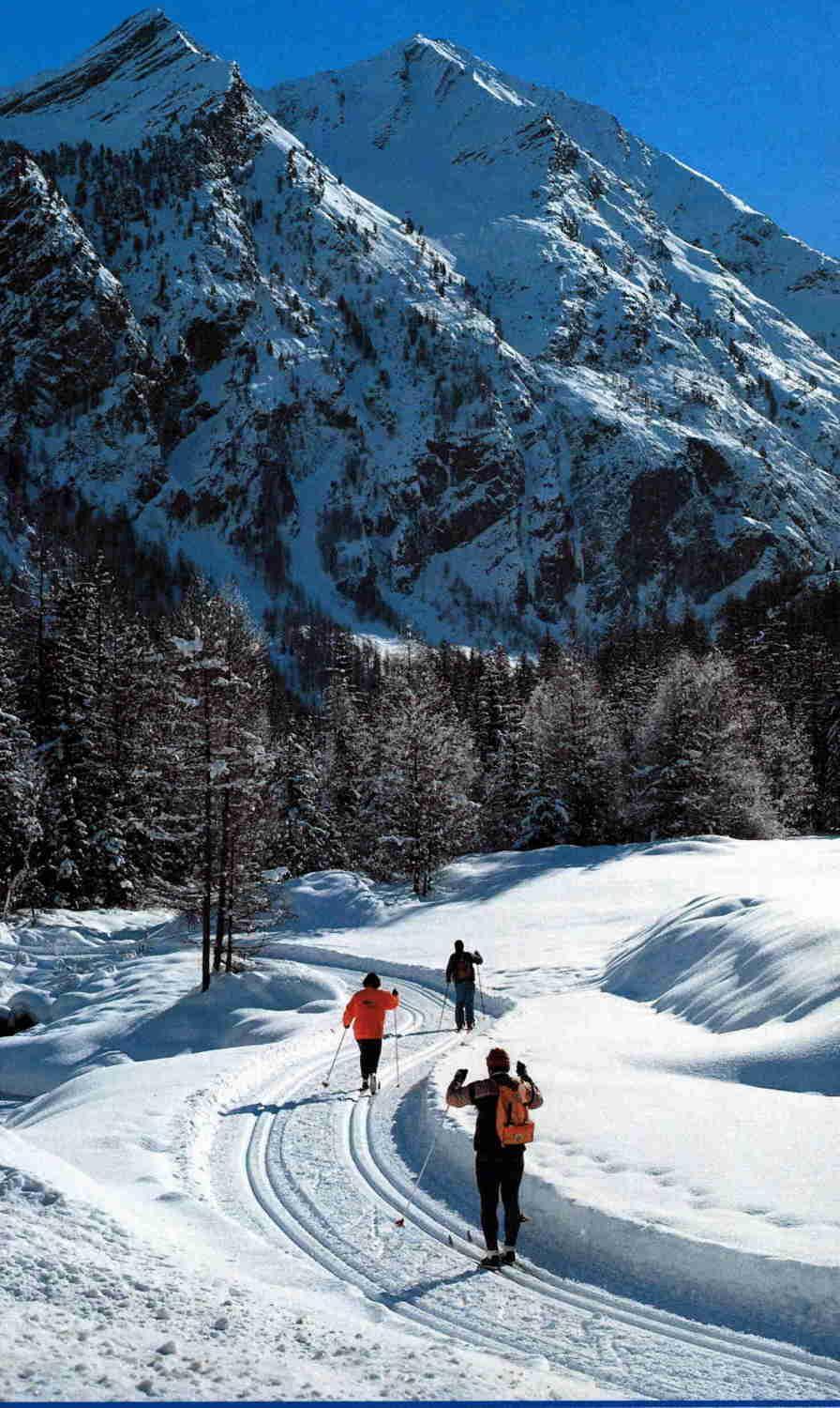 Hotel Tavernier Courmayeur Luaran gambar